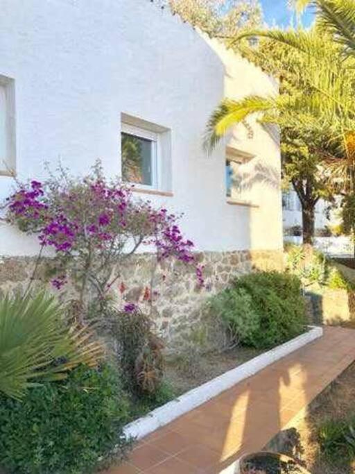 Amplio Apartamento Con Jardin En Almadrava Roses Extérieur photo